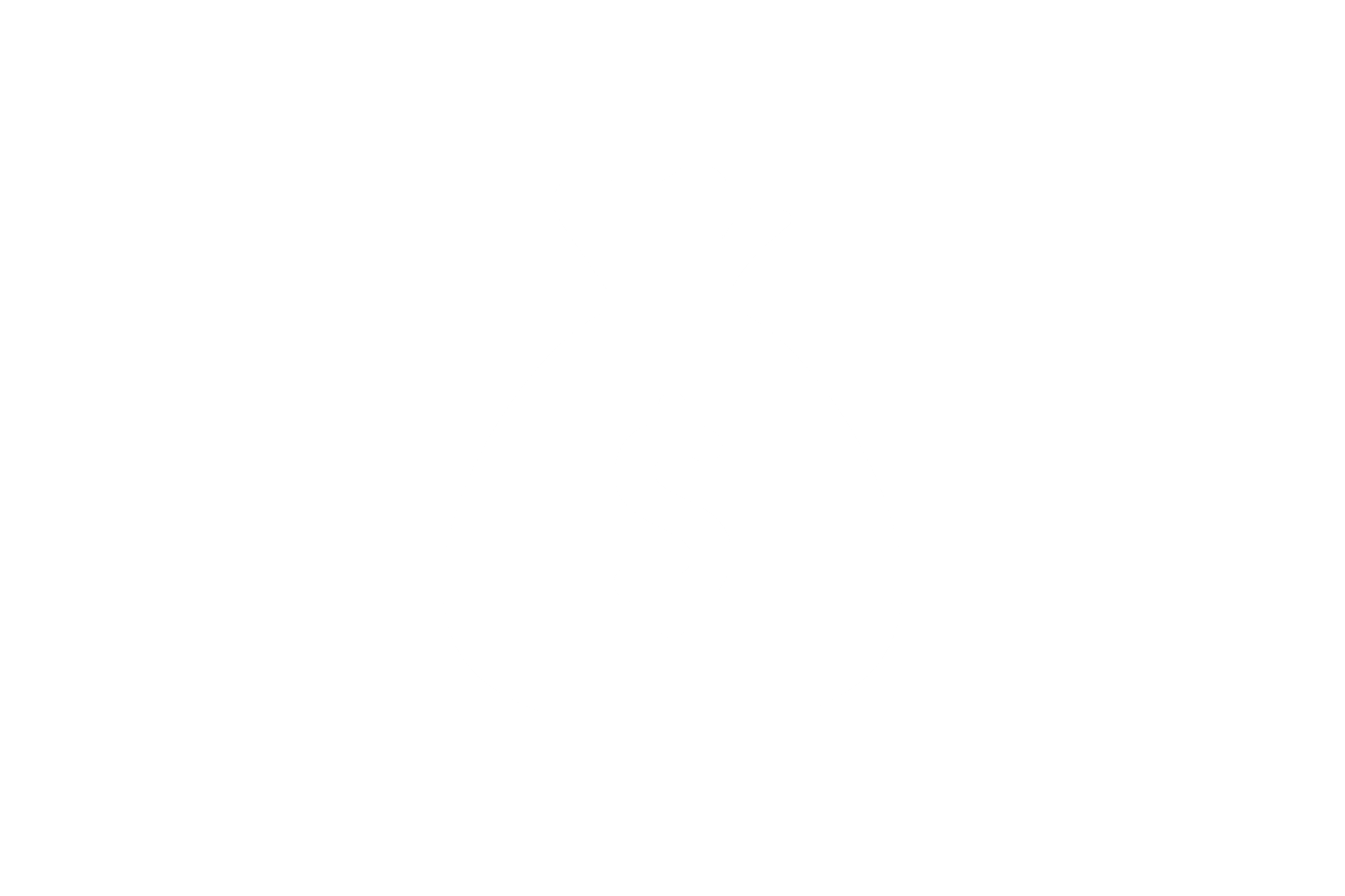 Money Bag Icon